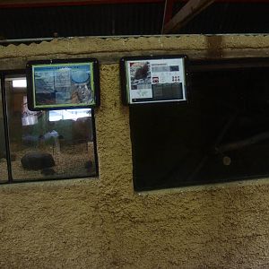 Petting zoo cages (April 19th, 2015)