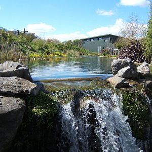 View of Gorilla enclosure and house