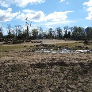 View of the African Savannah
