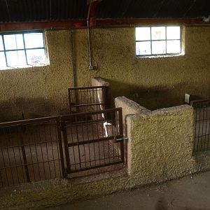 Petting zoo - empty pig pens (April 19th, 2015)