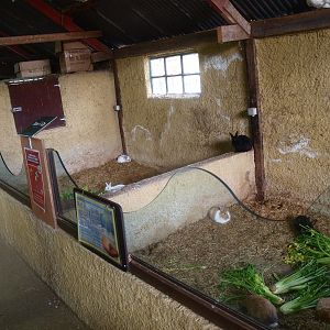 Petting zoo - rabbit pens (April 19th, 2015)