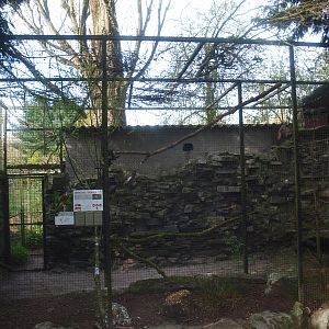 American kestrel aviary (April 19th, 2015)