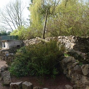 Raccoon exhibit (April 19th, 2015)