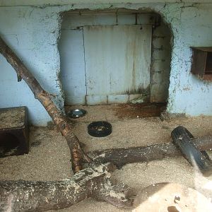 Raccoon barn, inside (April 19th, 2015)