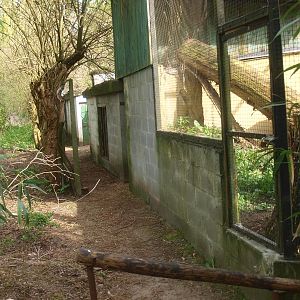 Behind the scenes service road (April 19th, 2015)