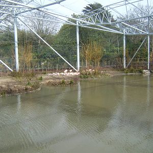 View inside the new Flamingo Aviary