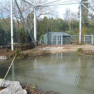 View inside the new Flamingo Aviary