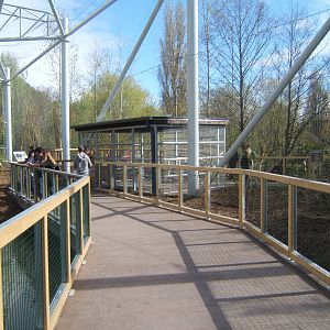 View inside the new Flamingo Aviary
