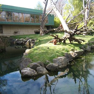 View of Orang Island