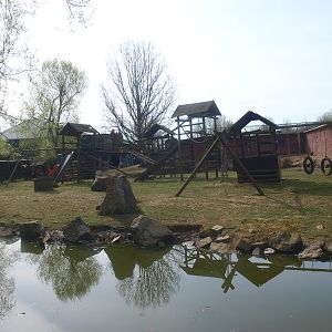 Brown capuchin island (April 19th, 2015)