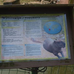 Animal sign, old style (April 19th, 2015)