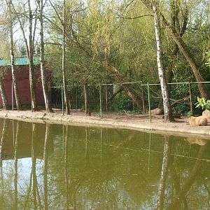 Strip of land for the capybara (April 19th, 2015)