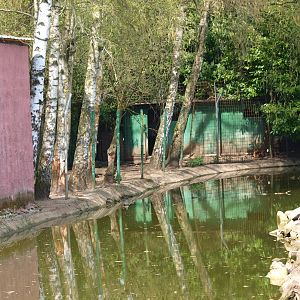 Strip of land for the capybara (April 19th, 2015)