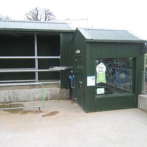 Milking Palour in the farm