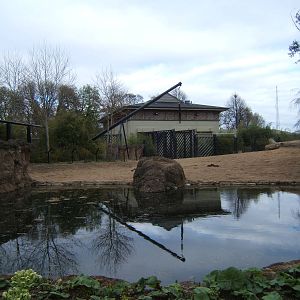 View of Bull Elephant House and enclosure
