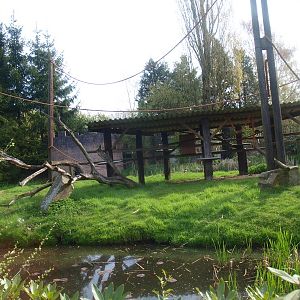 Ring-tailed lemur island (April 19th, 2015)