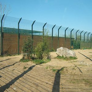 View of part of the new Amur Tiger enclosure