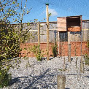 View of new European Eagle Owl Aviary