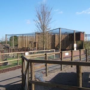 View towards the Owl aviarys from the domestic area