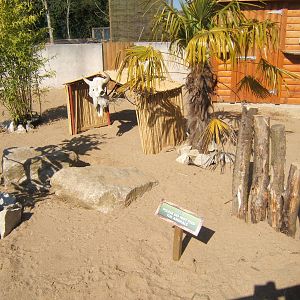View of Meerkat enclosure