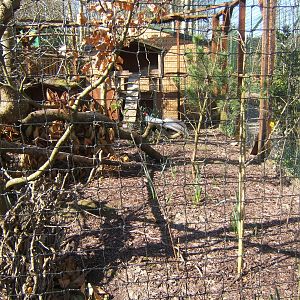 View of Pheasant Aviary