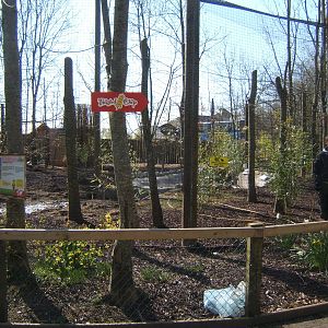 View of the nearly finished Red-crowned Crane Aviary