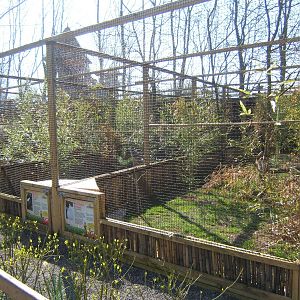 View of Pheasant Aviary`s