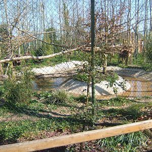 View of Fishing Cat enclosure