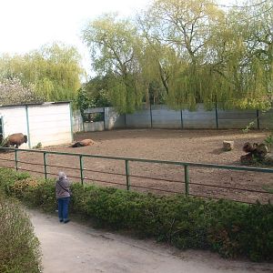 Wood bison enclosure (April 19th, 2015)