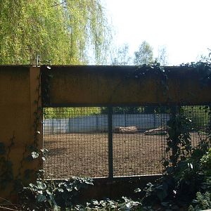 Wood bison viewing 'window' (April 19th 2015)