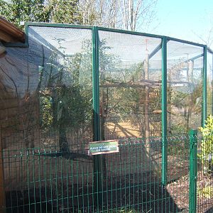 View of Sqirrel Monkey enclosure