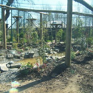 View of Amur Leopard enclosure