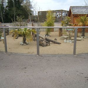 View of Meerkat enclosure