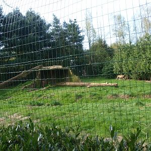 Cheetah enclosure (April 19th, 2015)
