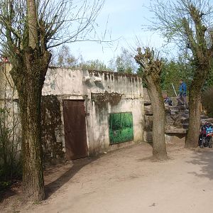 Cheetah and mountain lion building (April 19th, 2015)