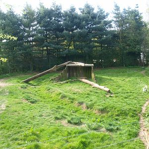 Cheetah enclosure (April 19th, 2015)