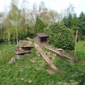 Mountain lion enclosure (April 19th, 2015)