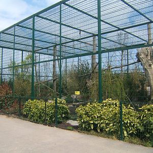 View of Puma enclosure