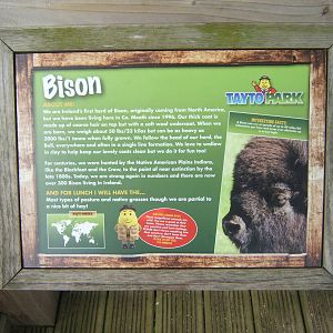 Bison sign