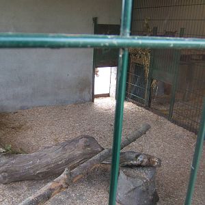 View inside Puma house