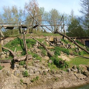 Gibbon island (April 19th, 2015)