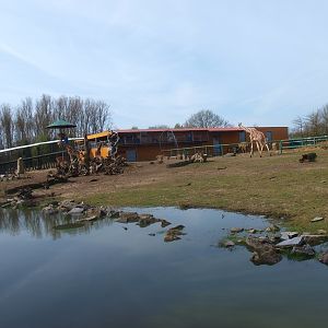 Savannah and savannah building (April 19th, 2015)