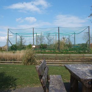 View of Bald Eagle Aviary