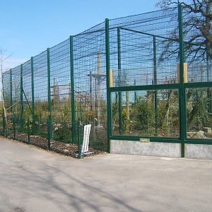 View of Amur Leopard enclosure