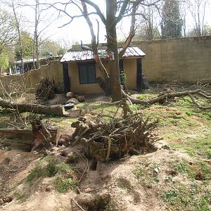 Skunk enclosure (April 19th 2015)