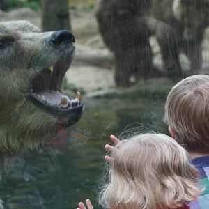 Peppie with Children.