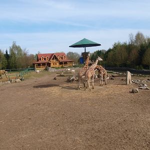 Savannah (April 19th 2015)