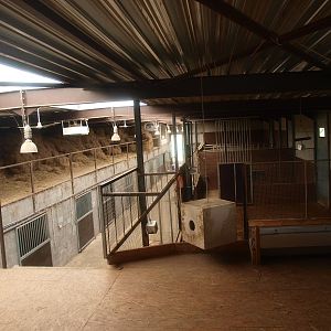 Stables inside the savannah building (April 19th 2015)