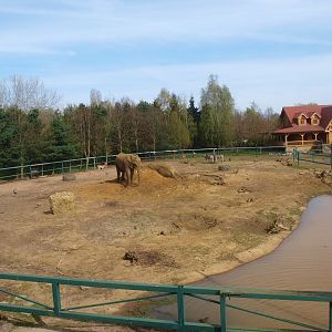 Savannah - African elephant enclosure (April 19th 2015)