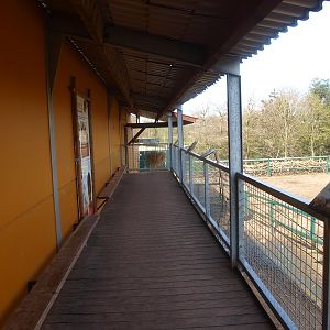 Savannah building viewing area (April 19th 2015)